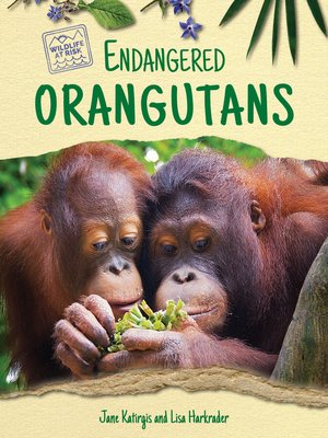 cover image of Endangered Orangutans